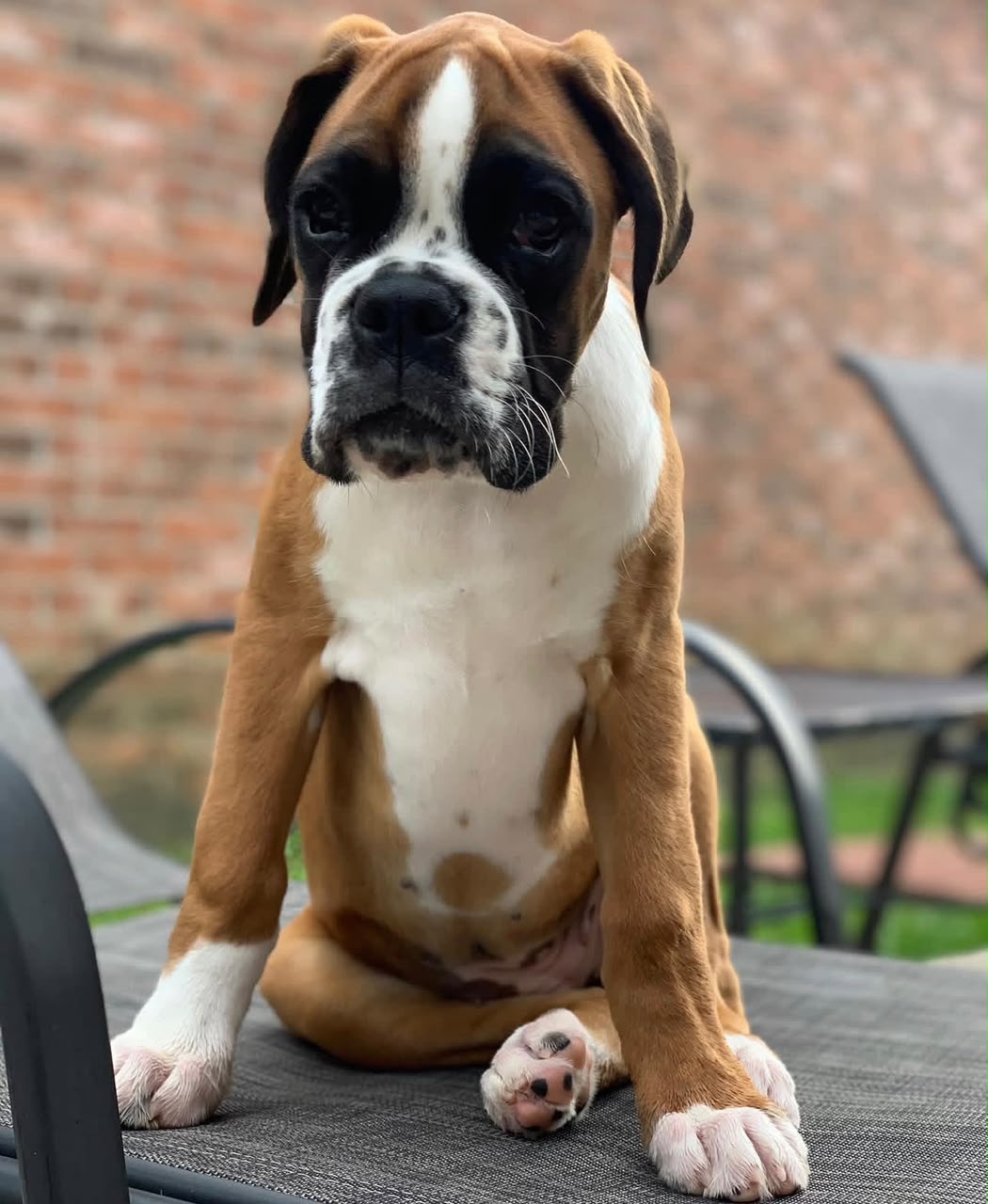 sophie 0