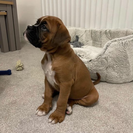 duke 0